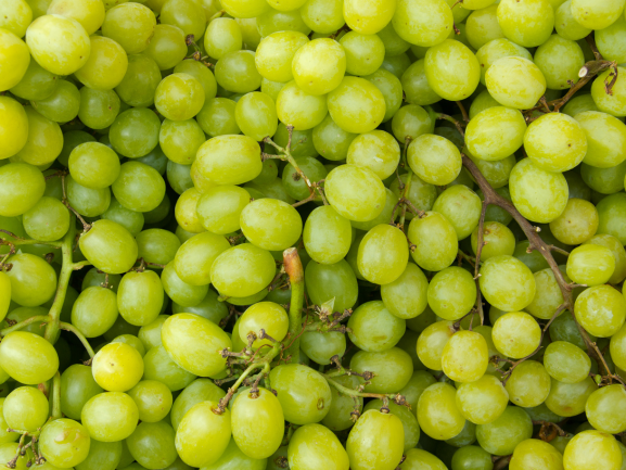 Grapes