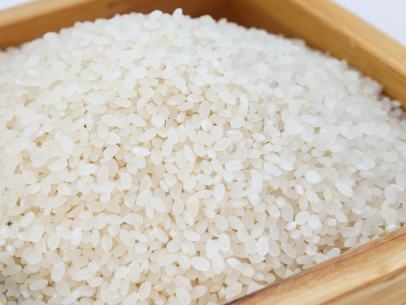 Premium Non Basmati Rice Export